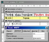 Рис. 5. Настройка в "Конструкторе" поля для отображения порядкового номера