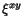 $\xi^{xy}$