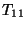 $ Т_{11}$