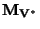 $ \mathbf M_{\mathbf V^*}$